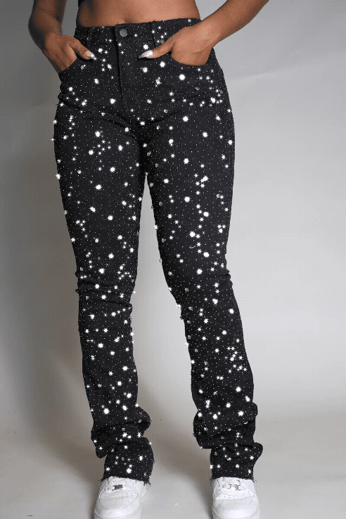 Sareka Black/Silver Rhinestone Stacked Flare Jean