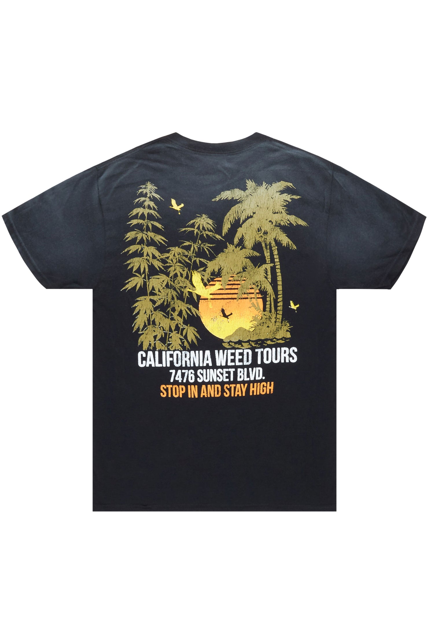 Vallely Black Graphic T-Shirt