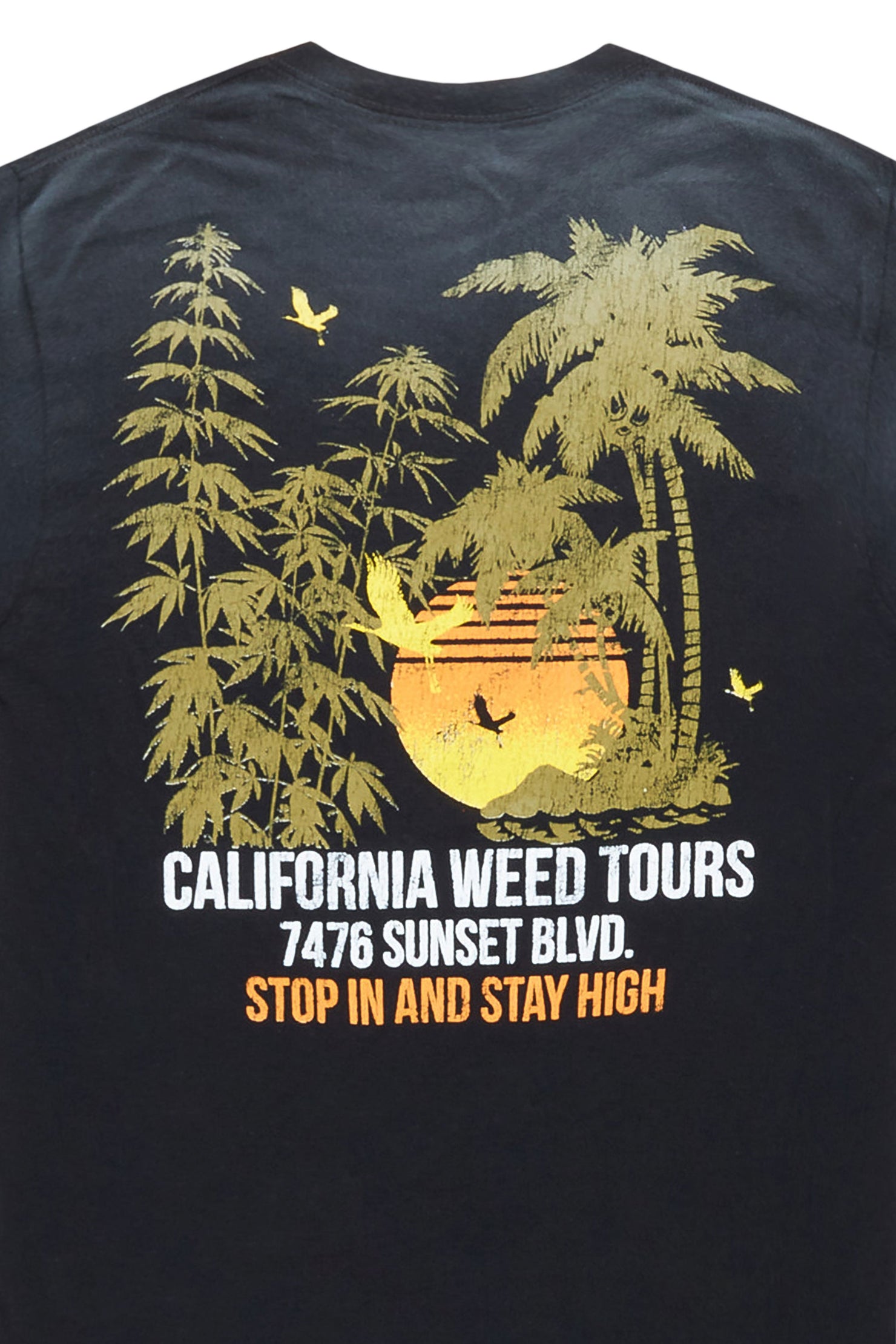 Vallely Black Graphic T-Shirt